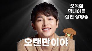 모든 투자자의 꿈, 나스닥 테슬라 엔비디아의 진도준 다시 환생하다