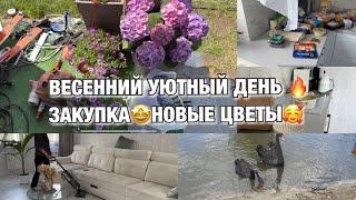 ВЕСЕННИЙ ДЕНЬ ИЗ МОЕЙ ЖИЗНИ! ПРОДУКТИВНАЯ ЖИЗНЬ! Закупка! Новые цветы! Будни Мамы Влог