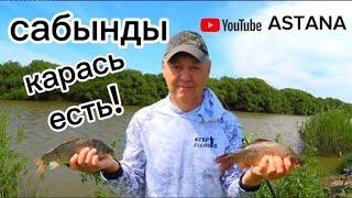 Летняя рыбалка. На донки давно так не рыбачил на реке Нура. River fishing Kazakhstan