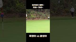 아까운 칩인버디 순간 #퍼스트골프 #golf #골프 #골프스윙 #골린이 #골린이 #golfswing #golfputt #칩인버디 #퍼팅잘하는법 #골린이성장일기