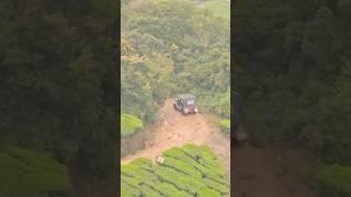 Amazing Samsung S24 ultra zoom test  #s24ultra #s24 #samsung #munnar #travel #ytshorts #shorts