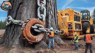 Extreme Dangerous Fastest Big Chainsaw Cutting Tree Machines - Monster Removes Tree Stump | Part 6