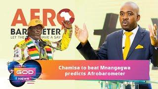 Chamisa to beat Mnangagwa predicts Afrobarometer