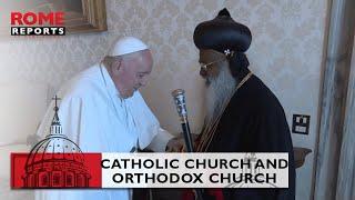 Catholic Church and Syro Malankara Orthodox Church continue to forge closer ties