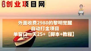 2023年网赚项目赚钱项目薅羊毛 外面收费2980的黎明觉醒自动打金项目，单窗口一天25+【脚本+教程】