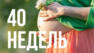 40 Недель  Беременность и Роды | Шевеления Малыша | Ощущения
