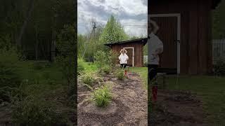 Как выросли кустарники за 4 года из р-9 #сирень #ирга #спирея #сад #ландшафтныйдизайн #кустарники