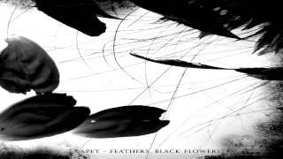 Apey - Spiders (Fethers,Black Flowers 2010)