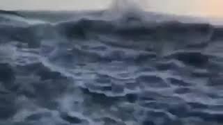 Sea monster caught on camera  