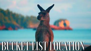 Bucket List Location, Cape Hillsborough Kangaroo's on the beach & more filmed in #4K Australia