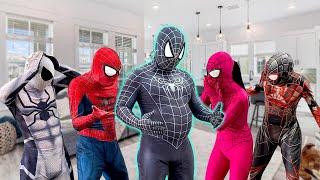 5 SPIDER-MAN Bros Story || Obesity Venom !!! ( Comedy by Life Hero )