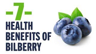 7 health benefits of bilberry | Interesting to know | Keep it in mind