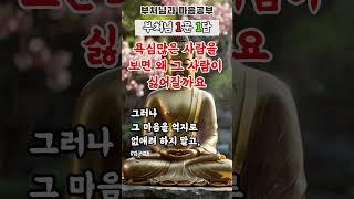 자비는 이해에서 시작됩니다그 사람을 미워하는 내 마음은 괜찮은가요? #부처님말씀  #법구경  #마음공부#마음수행 #비교심 #자비의눈