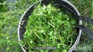 这种野菜长在水里城里卖得好贵，农村随处可见，大家有吃过吗