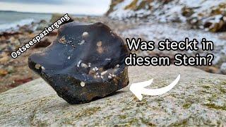 Snow, sea urchins, sea lilies - looking for fossils in the Baltic Sea