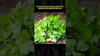 Amazing Facts About Coriander leaves and pumpkin | Health Tips | #shorts #healthtipsinhindi #facts