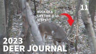 BUCK of A LIFETIME at 15 STEPS!!!! | ILLINOIS PUBLIC LAND BOWHUNT | Deer Journal EP.11