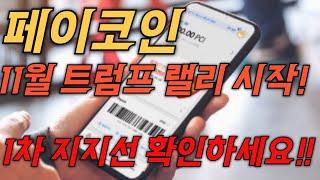 페이코인11월 날아갑니다 슈퍼대응전략!