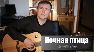 "Ночная птица". Автор Константин Никольский (Cover)