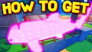 How TO GET WHALE SHARKS & SHARK HUNTS in FISCH! ROBLOX