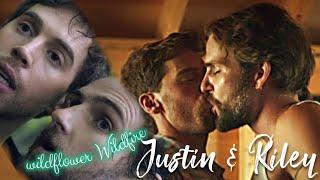 Justin & Riley | Wildfire wildflower | gay love story | the lake s1