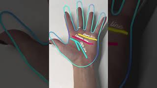 Palm reading in your phone! (2х3)