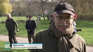 Initiative pflanzt Bäume in Halle