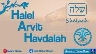 Halel - Arvit - Havdalah / Shabat Sh’lach