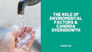 The Role of Environmental Factors in Candida Overgrowth