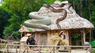 Dwarf family horrified to discover giant python while processing rice by hand