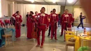 Mariachi real del Valle