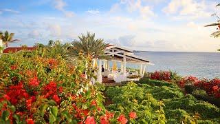 The Most Romantic Anguilla Restaurant