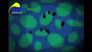 101 Dalmatians intro Multilanguage