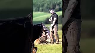 #tactical #dog #training #k9 #military #dogtraining #k9protection #police #workingk9 #doglover