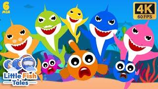 baby shark + more nursery rhymes | Little Fish Tales | #babyshark #fish