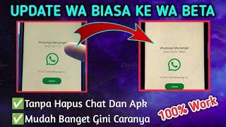 Cara Update WA Biasa Ke WA Beta Terbaru||Tanpa Kehilangan Chat