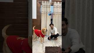 Leo’s reaction on remote control helicopter #shorts | Anant Rastogi