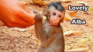 Lovely And Friendly Baby Monkey Alba Smile To See Food | Alba Make Very Sympathy Face During Eating