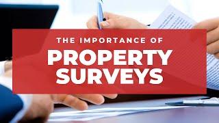 The Importance of Property Surveys