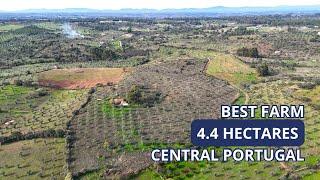 Best 4.4 Hectare Farm Deal in Central Portugal for 60 000€?