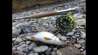 Осенний хариус-на нимфу ,нахлыст в октябре.// Autumn grayling on the nymph ,fly fishing in October.