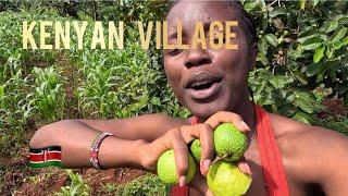 Kenyan Village Adventures Tour