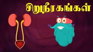 சிறுநீரக அமைப்பு | How Urinary System Works | Dr. Binocs Tamil | Best Learning Videos For Kids