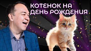 Котенок на день рождения. Транс Юрия Чекчурина 5 июня 2024.