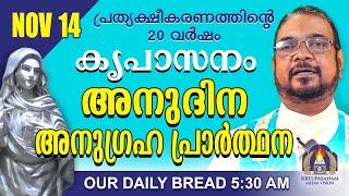 നവംബർ 14 | കൃപാസനം അനുദിന അനുഗ്രഹ പ്രാർത്ഥന | Our Daily Bread |പ്രത്യക്ഷീകരണത്തിന്റെ ഇരുപതാം വർഷം.