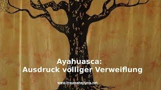 Ayahuasca: Ausdruck völliger Verzweiflung