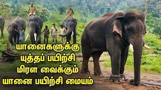 Elephant documentary - கும்கியாக மாறும் காட்டு யானைகள்|கோழி கமுத்தி யானை பயிற்சி மையத்தில் ஒரு நாள்!