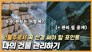 건물 관리편: 건물주가 신경 써야 할 포인트 (feat. 누수 관리는 어떻게..?)