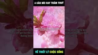 Nên Nghe 1 Lần ! 4 Câu Nói Làm Thay Đổi Suy Nghĩa Cuộc Đời !