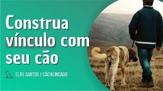 Como ter VÍNCULO com seu CÃO? | Eliel Santos - Cão Blindado